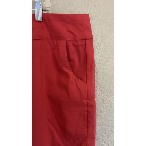 Zac & Rachel Woman Skorts Women 2x Pink NWOT Side Pockets Boho Office Outdoors - Picture 2 of 5